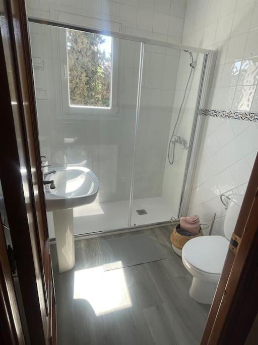 Exclusive Apartamento Limonar Málaga Exteriör bild